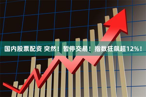 国内股票配资 突然！暂停交易！指数狂飙超12%！
