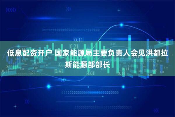 低息配资开户 国家能源局主要负责人会见洪都拉斯能源部部长