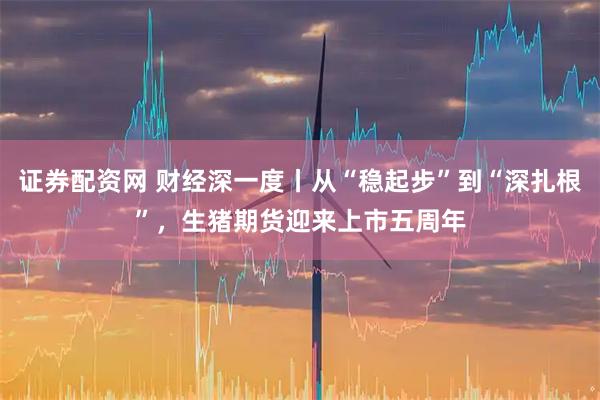 证券配资网 财经深一度丨从“稳起步”到“深扎根”，生猪期货迎来上市五周年